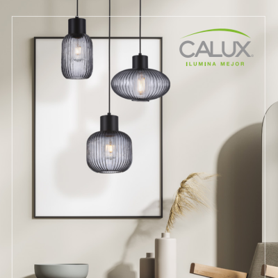 Portada del catálogo CALUX